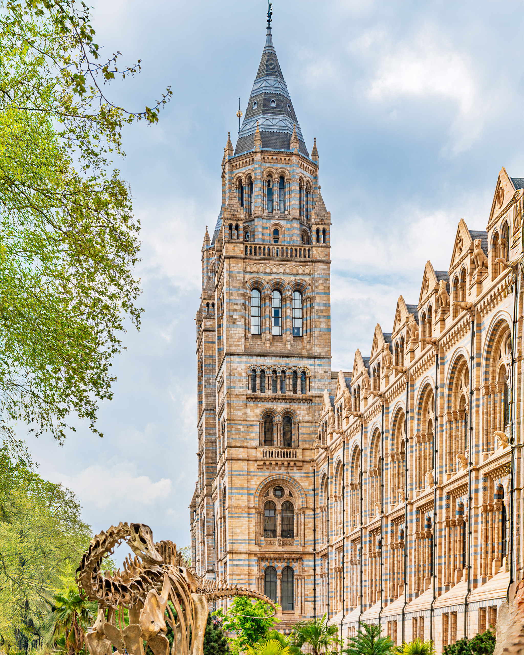 Exterior facade of the Natural History Museum in London designed by Alfred Waterhouse, showing Victorian Romanesque terracotta arcades, round arches, carved animal and plant panels, and the central tower along Cromwell Road under a cloudy sky.