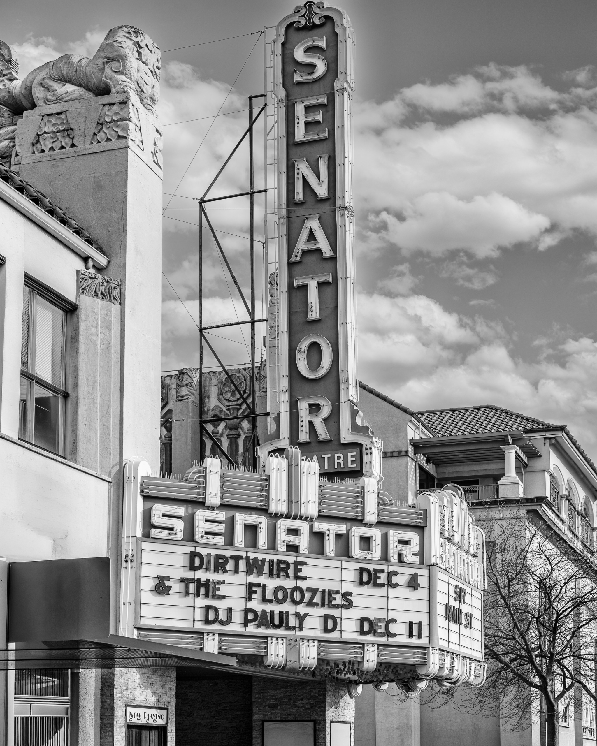 Art Deco marquee of the Senator Theatre in Chico, California, featuring layered neon lighting, bold typography, and a projecting canopy illuminating the street facade in classic mid-century cinema style.