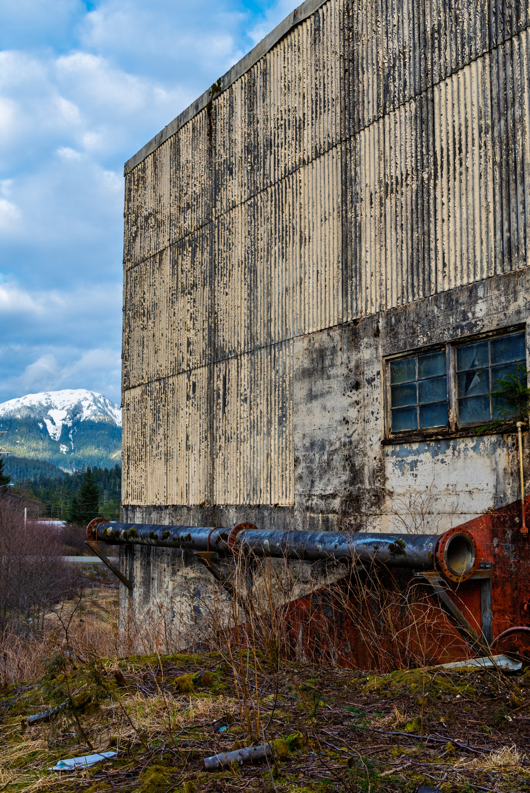 Detail view of an abandoned corrugated metal building at the Ward Cove Pulp Mill in Ketchikan, Alaska, showing rusting industrial pipes, peeling paint, broken windows, and overgrown vegetation with a snow-capped mountain visible in the background.